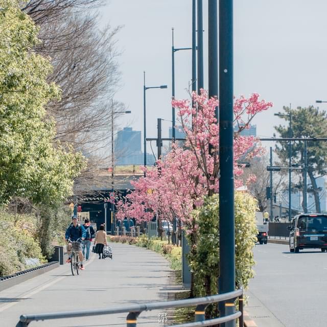 Jiyuoka