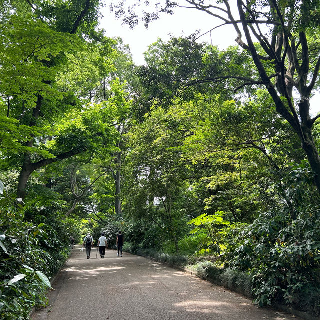 【新宿御苑】都会にある自然豊かなスポット