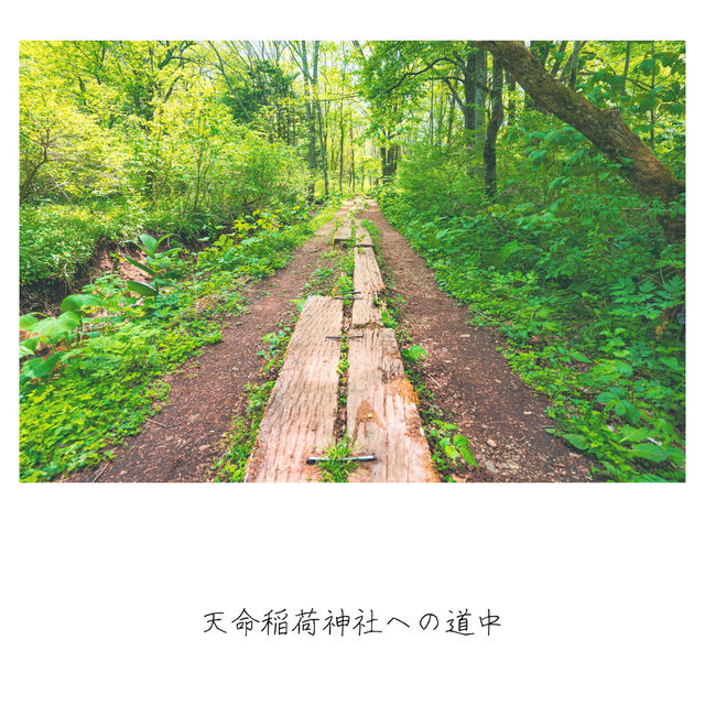 樹齢400年の杉並木と朱塗り門（戸隠神社・長野県長野市）