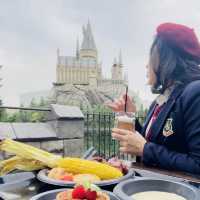 🎢USJสวนสนุกที่ทุกคนที่ไปโอซาก้าต้องห้ามพลาด