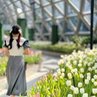 🌷สวนดอกไม้เมืองหนาวที่ใหญ่ที่สุดในประเทศไทย🌹