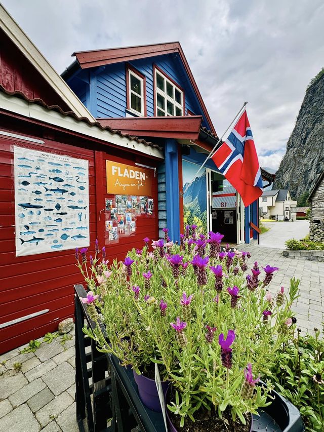 隱身在松恩峽灣(Sognefjorden)深處的挪威迷你小村落Undredal