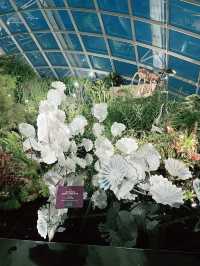 Gardens by the Bay: A Vertical Garden Wonderland