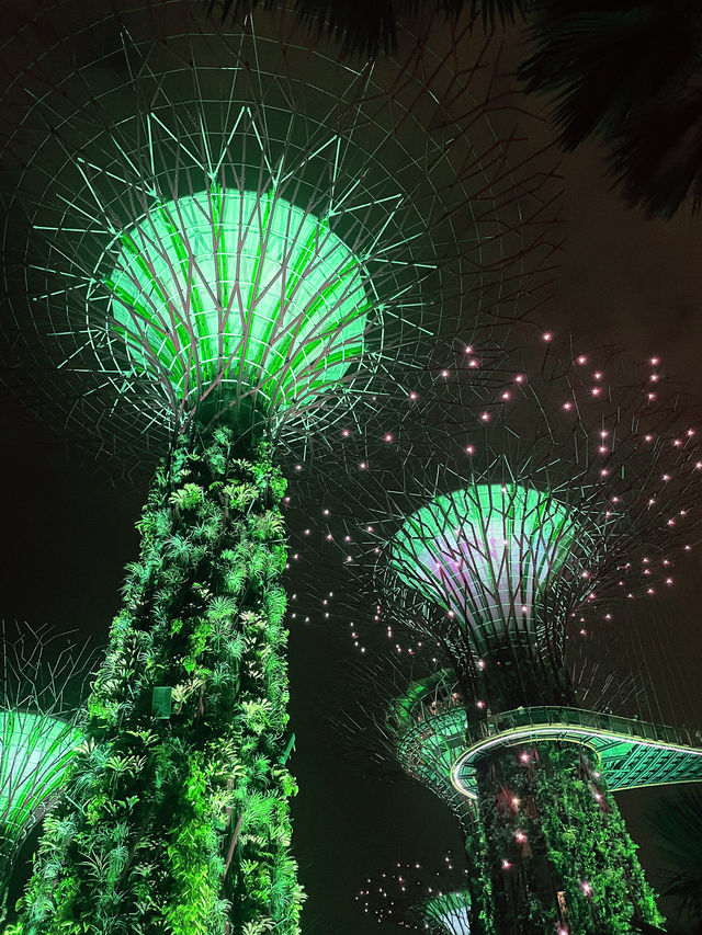 Gardens by the Bay: A Vertical Garden Wonderland