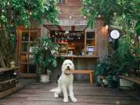 Resfeber Cafe | รังสิต คลองสอง ปทุมธานี
