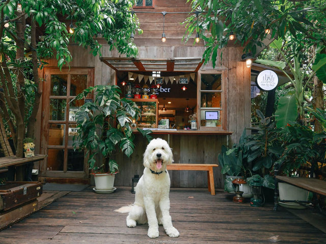 Resfeber Cafe | รังสิต คลองสอง ปทุมธานี