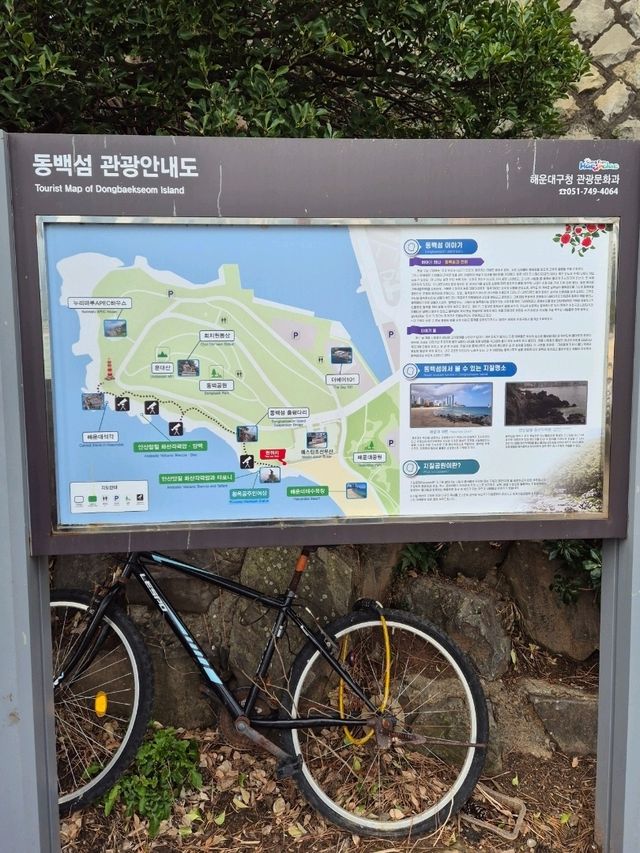 Dongbaek Island Busan