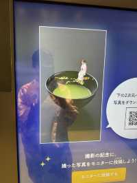 〜京都府〜ちゃづなミュージアム🍵
