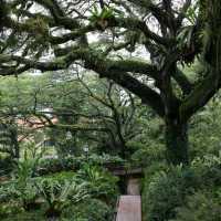 火紅ins打卡聖地新加坡福康寧公園