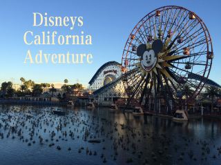 Disney’s California Adventure: A Fun-Filled Day 🎢🌟