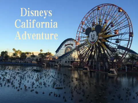 Disney’s California Adventure: A Fun-Filled Day 🎢🌟