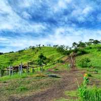 🇲🇾 Bukit Parapat: A Short Hike to StunningViews