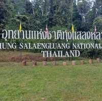 ขับรถเที่ยวเพชรบูรณ์ 2 วัน 1 คืน