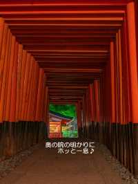 絶景の千本鳥居は異空間へ誘うよう【伏見稲荷大社】