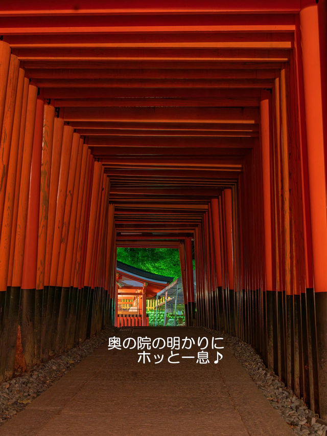 絶景の千本鳥居は異空間へ誘うよう【伏見稲荷大社】