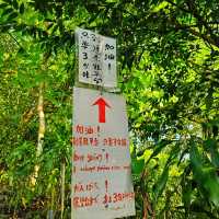 【臺北】市民喜愛的郊山步道之一，適合各年齡層的登山愛好者。