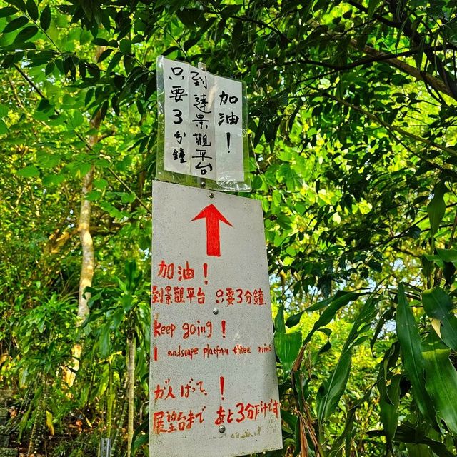 【臺北】市民喜愛的郊山步道之一，適合各年齡層的登山愛好者。