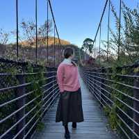 Theme Visit to the Garden of Morning Calm 🇰🇷