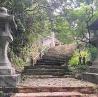 「金瓜石黃金博物館附近，再向上爬欣賞無敵海景」