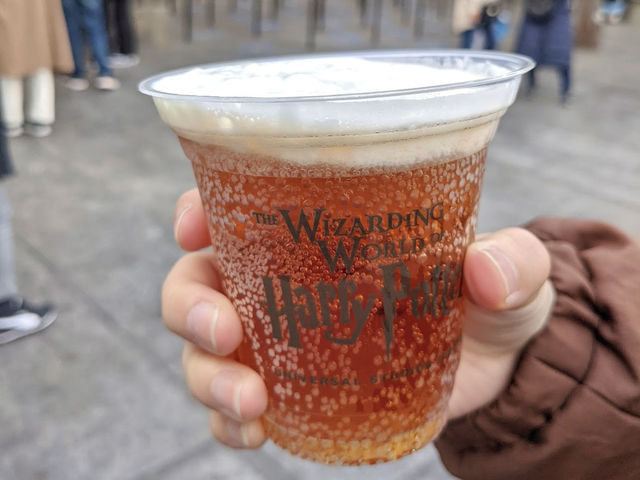 [USJ2024] The Wizarding World Of Harry Potter
