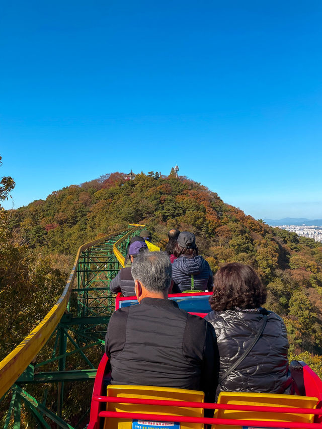 모노레일 타고 떠나는 가을 여행지 추천 ‘지산유원지’