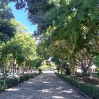 สถานศึกษา "วัดซูจิตธรรมาราม"✨️