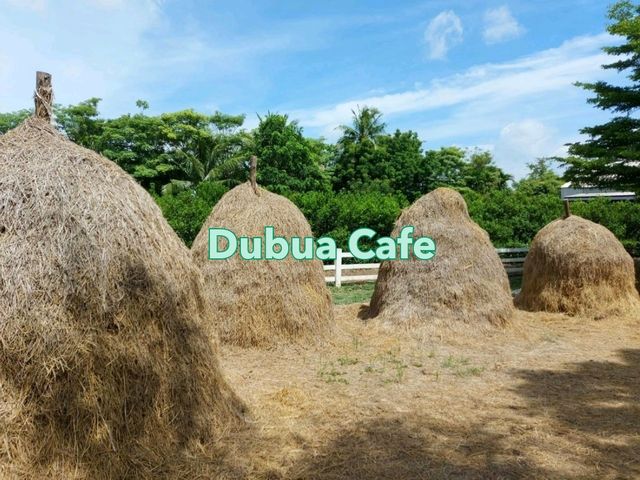 คาเฟ่ฟาร์มที่มีกิจกรรมให้สนุกมากมาย