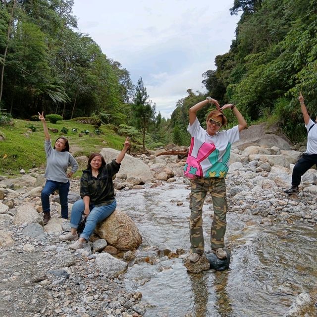 Spring Garden Kundasang, A Slice of Nature's Paradise