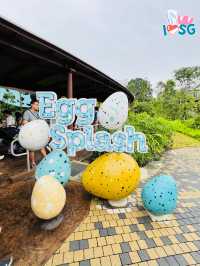 🇸🇬 Play at Egg Splash  