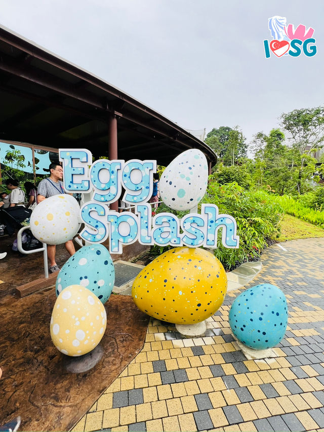 🇸🇬 Play at Egg Splash  