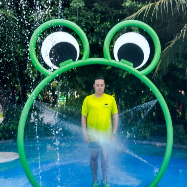나트랑의 워터파크 Aquapark VinWonders