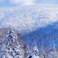 Snow Valley 雪谷( ตั้งอยู่ในเขต Wuchang) 