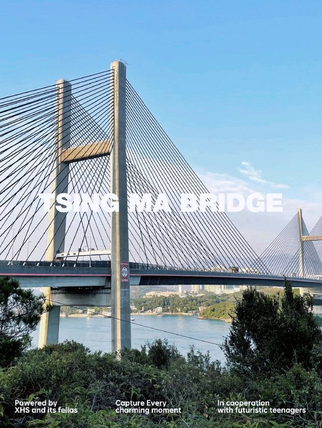  【現代建築】香港的大橋代表作 青馬大橋