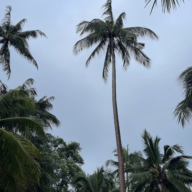 📍🌊The Deva Koh Chang