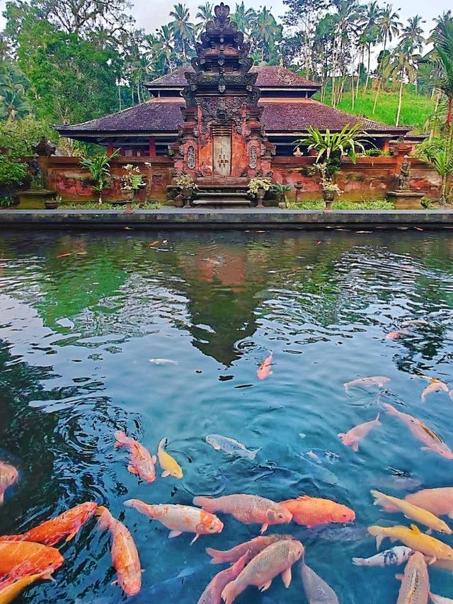 A Purification Rituals at Tirta Empul, absolutely a spiritually enlightening experience!