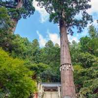 Hiking Mount Kurama: A Colorful Autumn Adventure