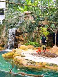 Watching the Wildlife Performances at Singapore Zoo