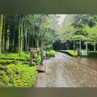Jeolmul Natural Recreation Forest