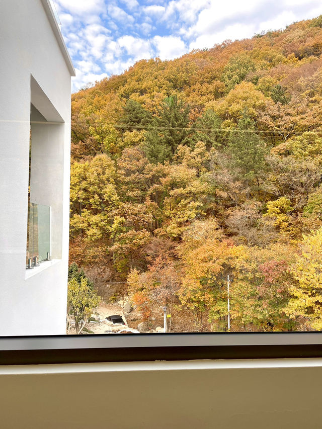 숲뷰 부산 근교 감성카페 (양산 무무도)