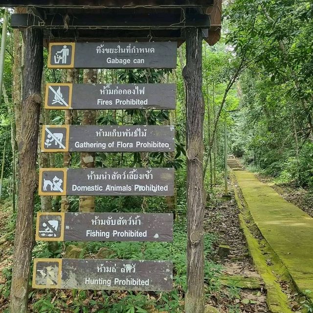 ตะลุยสุไหงปาดี