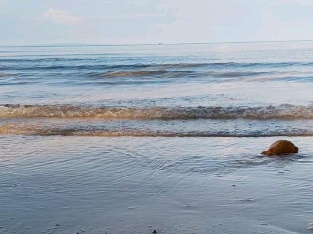 หาดราชการุณย์