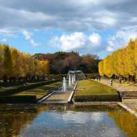 東京景點｜東京近郊知名銀杏賞風景點—國營昭和紀念公園