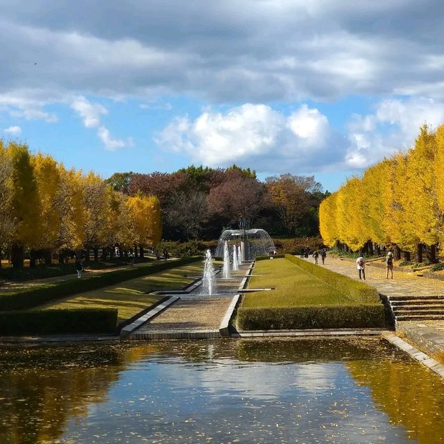 東京景點｜東京近郊知名銀杏賞風景點—國營昭和紀念公園