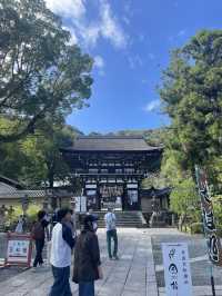 松尾大社の静寂と甘味：みたらし団子で味わう癒しのひととき