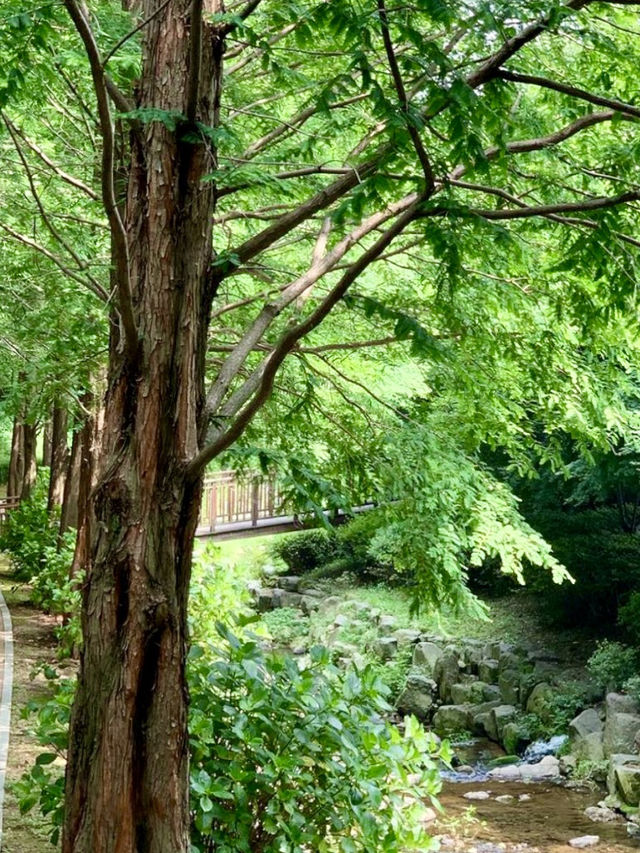 완연한 가을의 자연을 느껴볼 수 있는 🌳부산 야외데이트 명소💚
