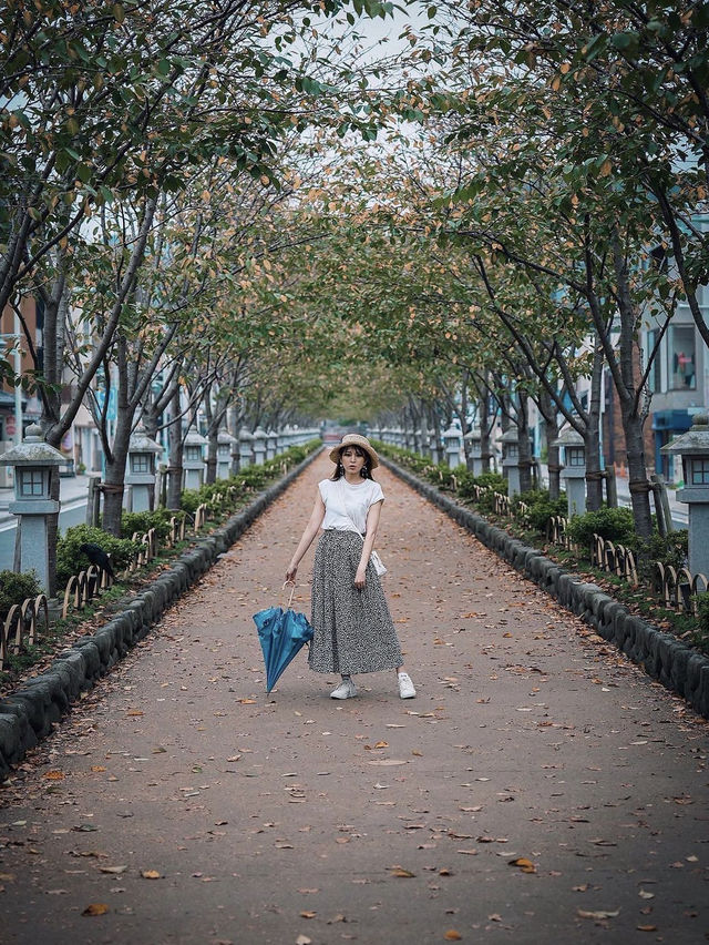 鎌倉で朝活👟 早朝 #江ノ電 に乗ってふらっと鎌倉へ🚃
