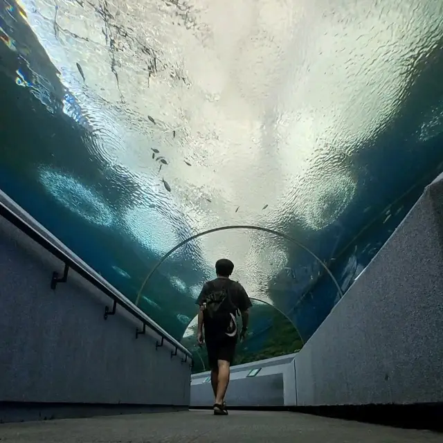 芭達雅海底世界 