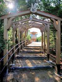愛知縣 吉卜力公園