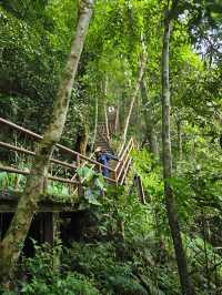 อุทยานแห่งชาติเขาใหญ่