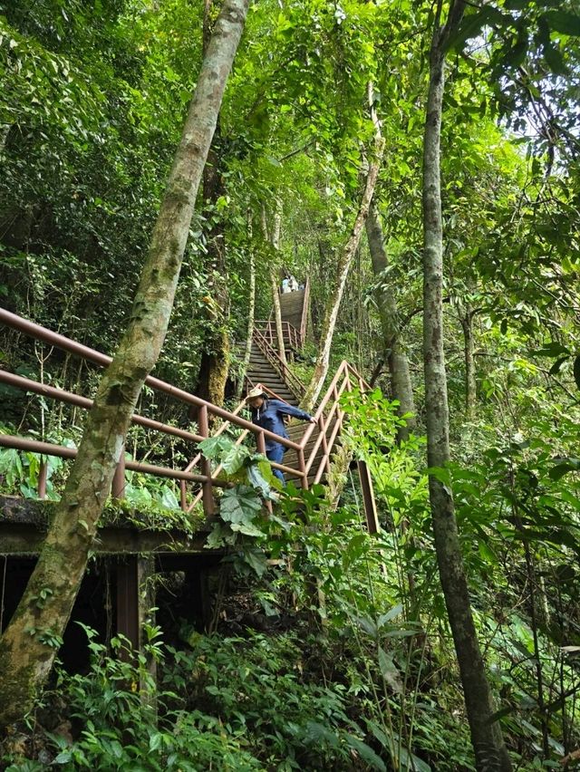 อุทยานแห่งชาติเขาใหญ่